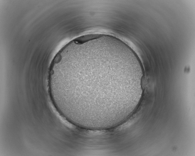 X0000091550997200709141512