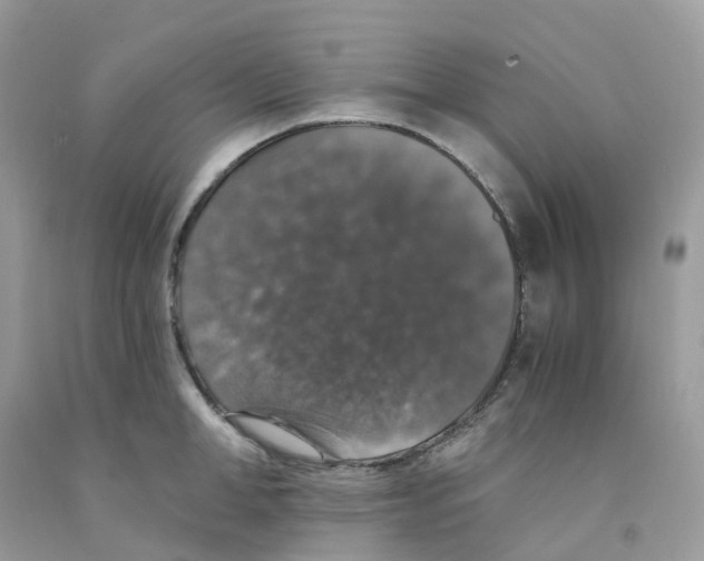 X0000091550998200709141512