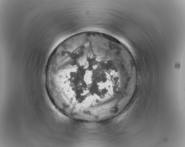 X0000091550999200709141512