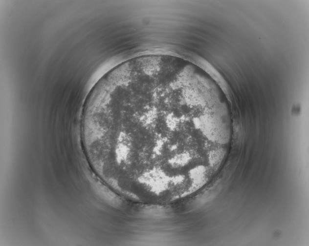 X0000091551002200709141512