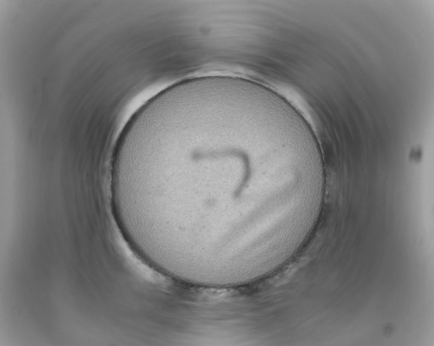 X0000091551003200709141512