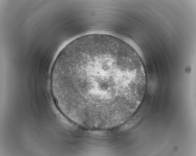 X0000091551004200709141512