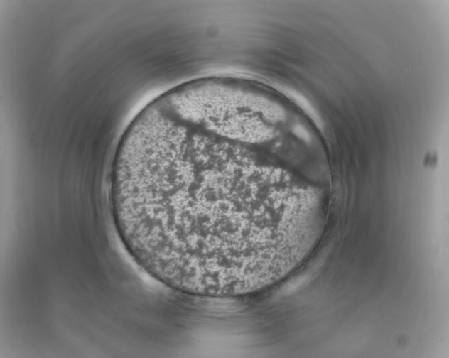 X0000091551007200709141512