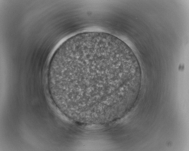 X0000091551008200709141512