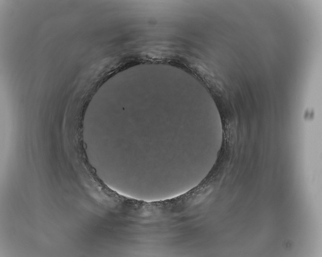 X0000091551009200709141511