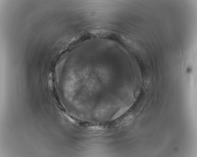 X0000091551010200709141511