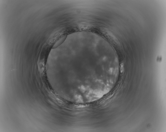 X0000091551011200709141511