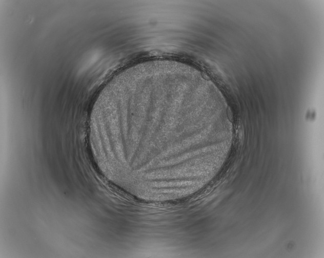 X0000091551012200709141511