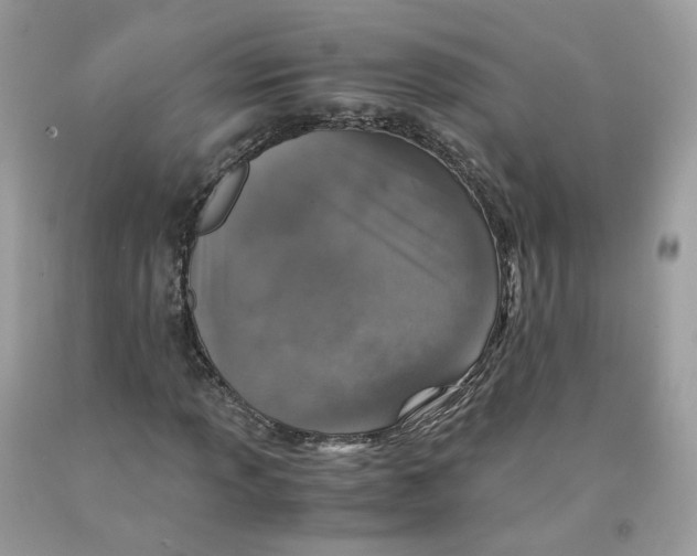 X0000091551013200709141511