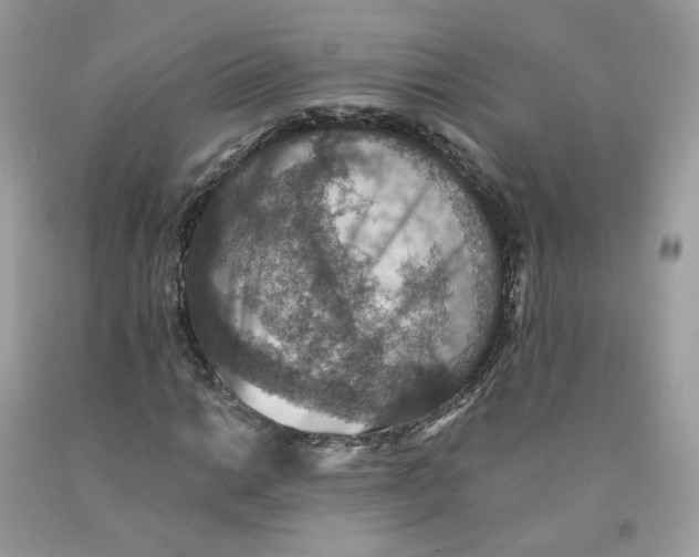 X0000091551014200709141511