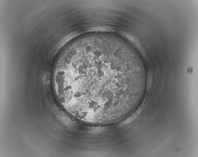 X0000091551017200709141511