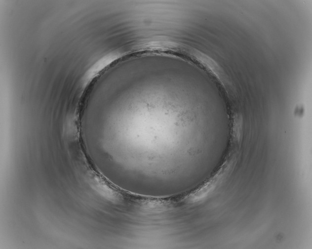 X0000091551018200709141511