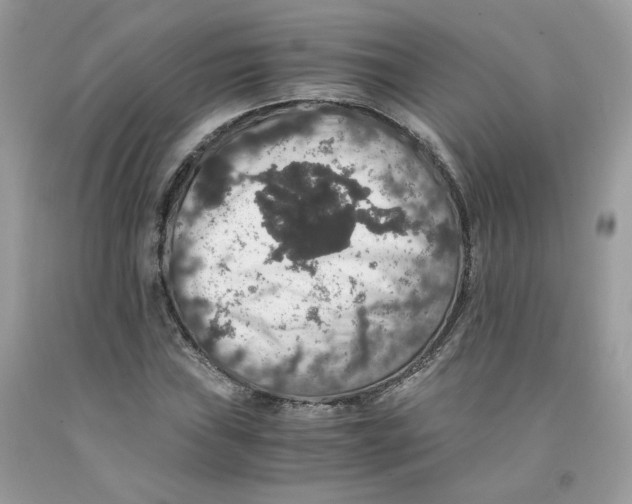 X0000091551019200709141511