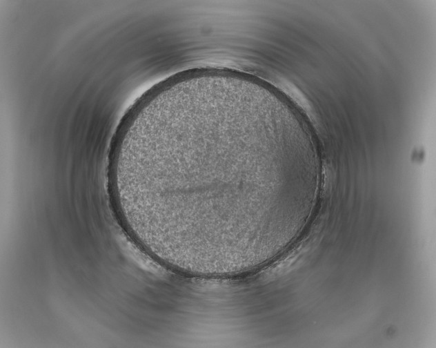 X0000091551020200709141511