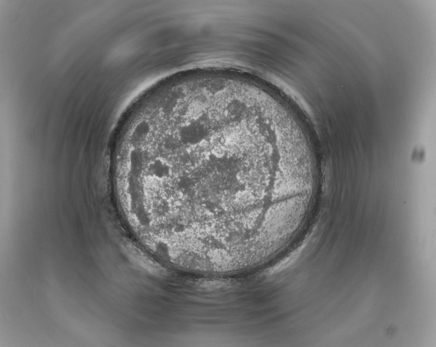 X0000091551021200709141511