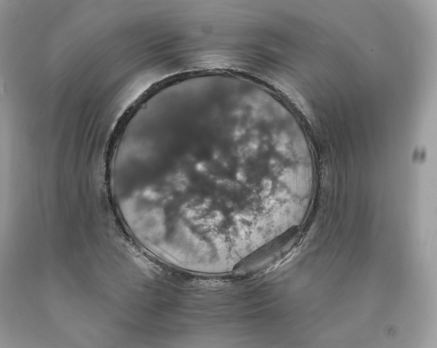 X0000091551023200709141511