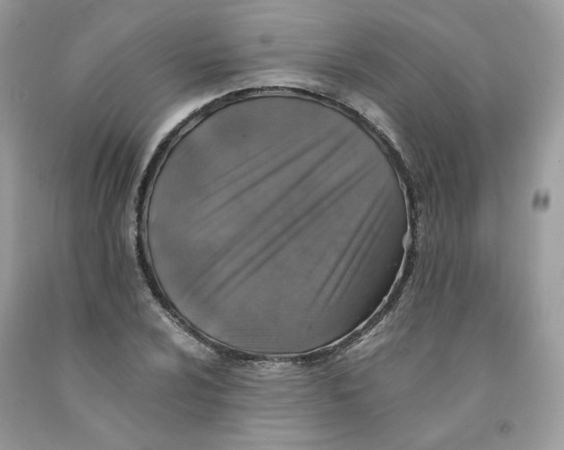 X0000091551024200709141511