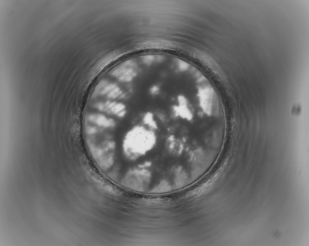 X0000091551025200709141511