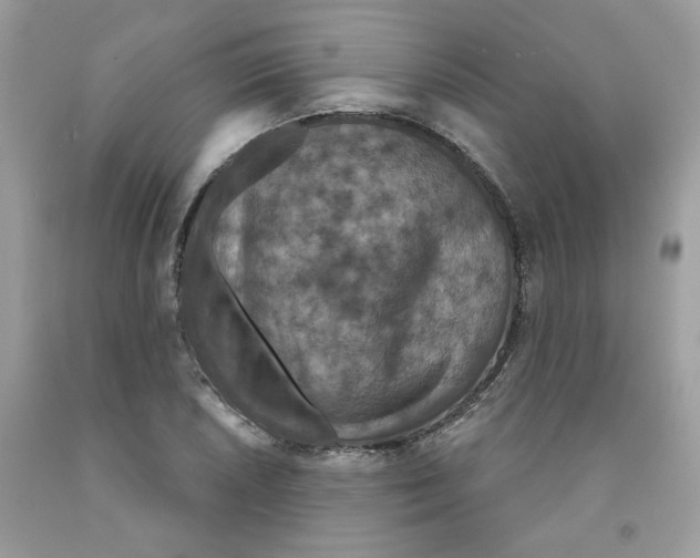 X0000091551026200709141511