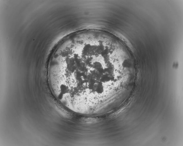 X0000091551027200709141511