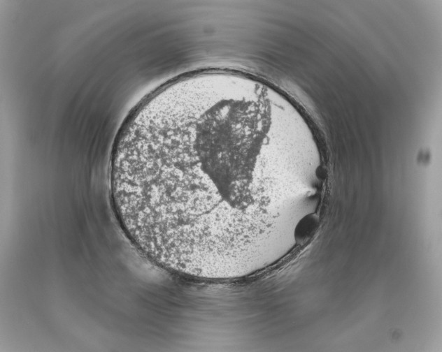 X0000091551028200709141512