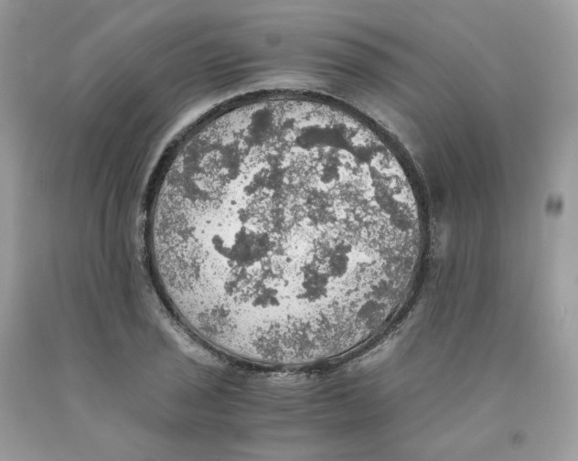 X0000091551029200709141512