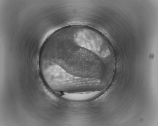 X0000091551030200709141512