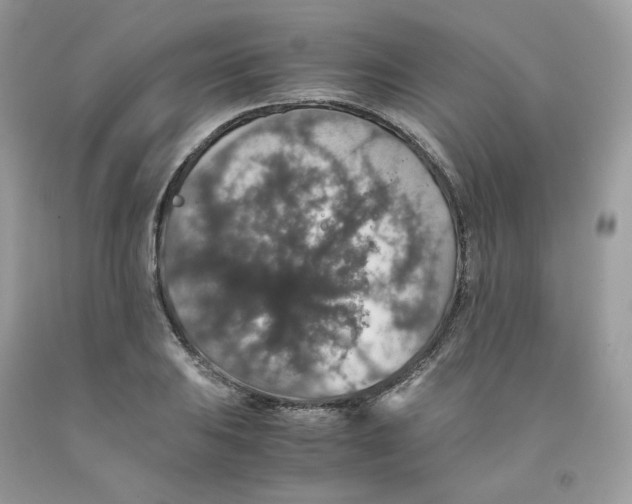 X0000091551031200709141512