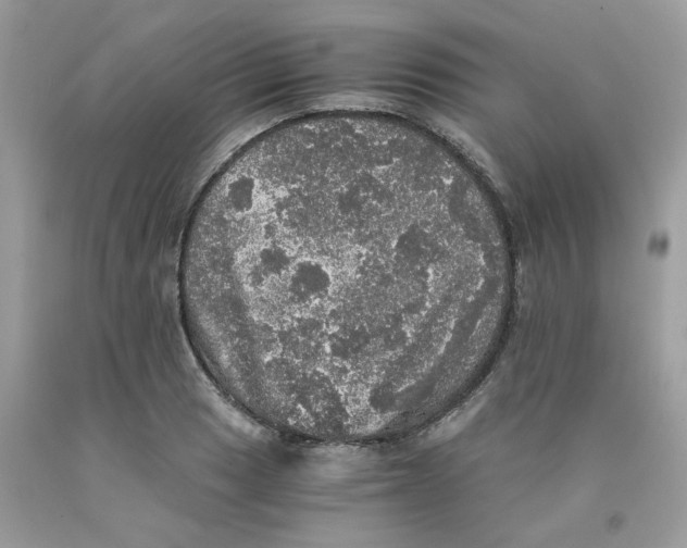 X0000091551033200709141512