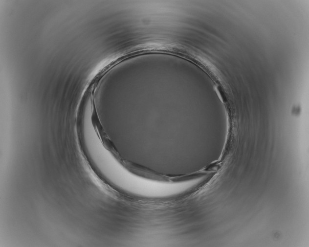 X0000091551034200709141512