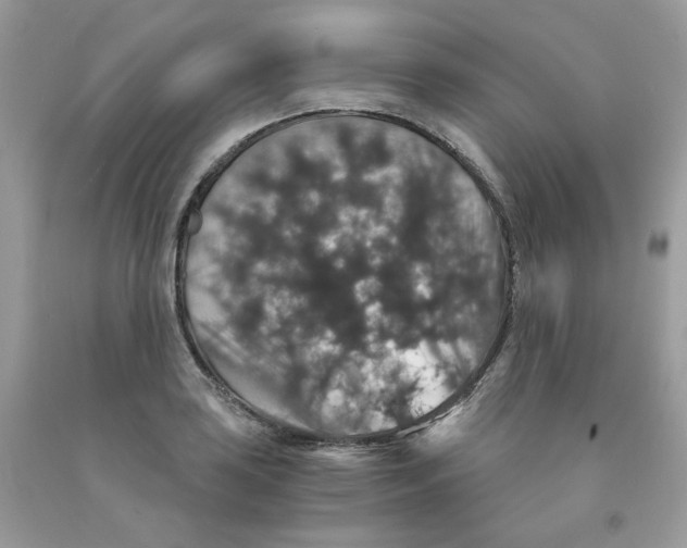 X0000091551035200709141512