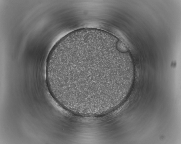 X0000091551036200709141512