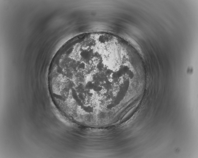 X0000091551039200709141512