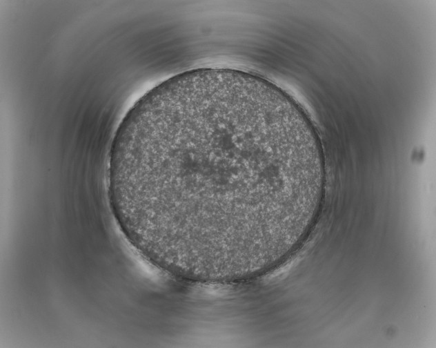 X0000091551040200709141512