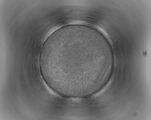 X0000091551041200709141512