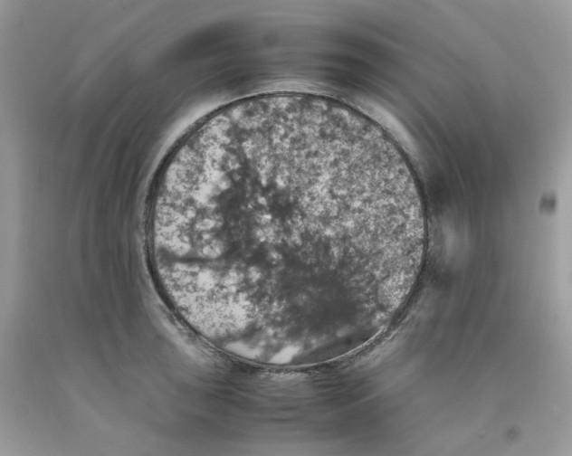 X0000091551043200709141512