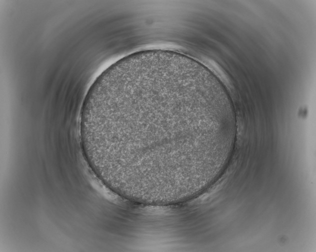 X0000091551044200709141512