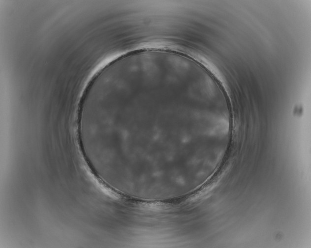 X0000091551045200709141512