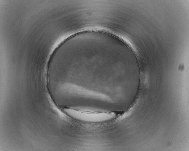 X0000091551046200709141512