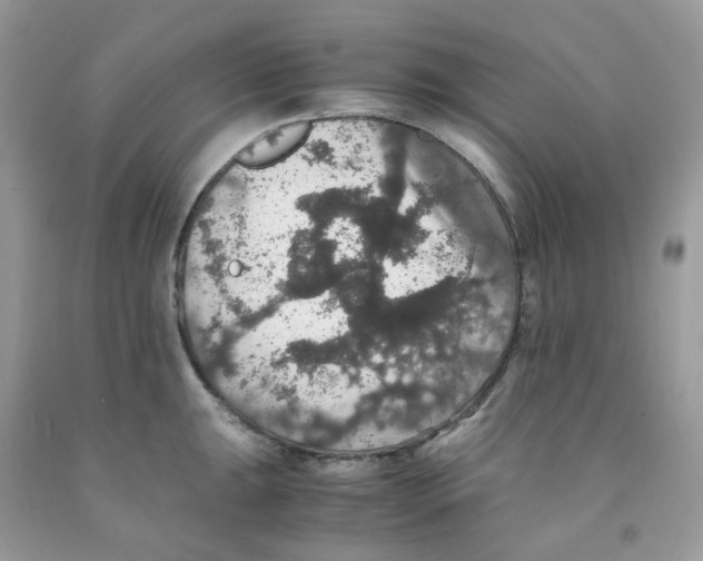 X0000091551047200709141512