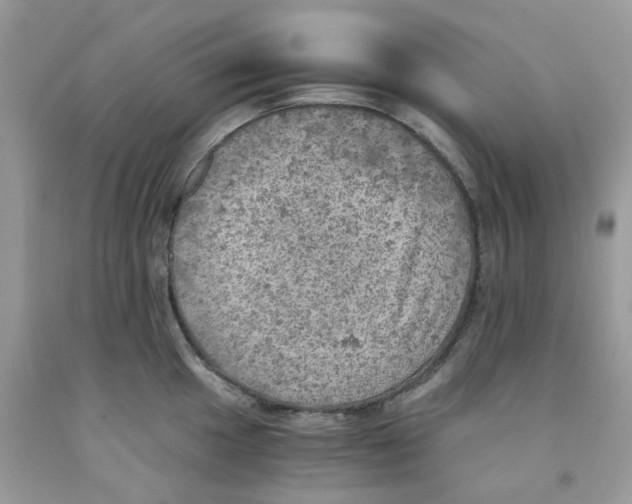 X0000091551049200709141512