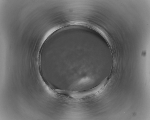 X0000091551050200709141512