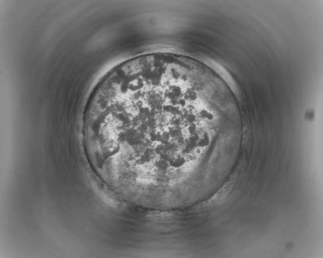 X0000091551051200709141512