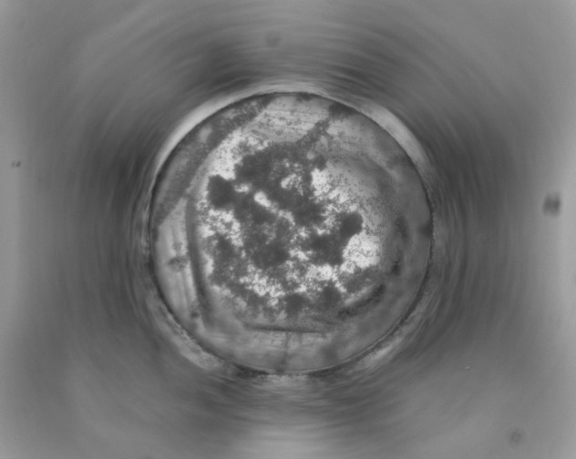 X0000091551052200709141512