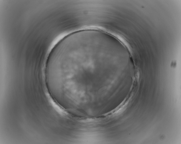 X0000091551054200709141512