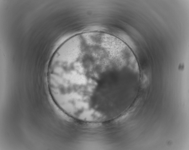 X0000091551055200709141512