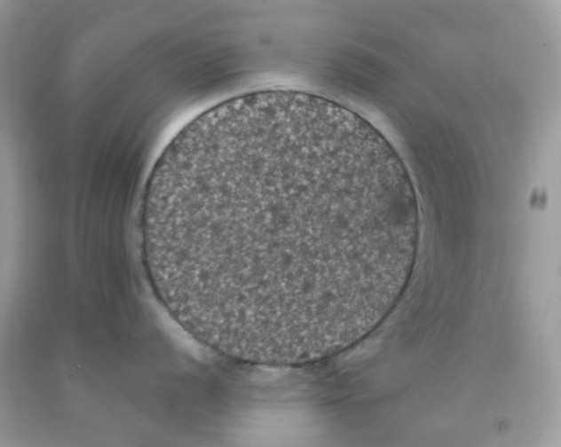 X0000091551056200709141512