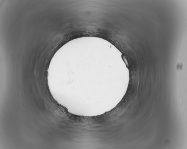 X0000091551057200709141511