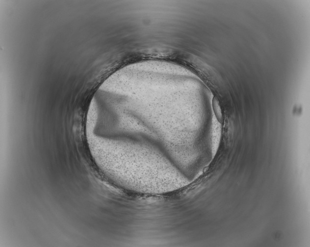 X0000091551058200709141511