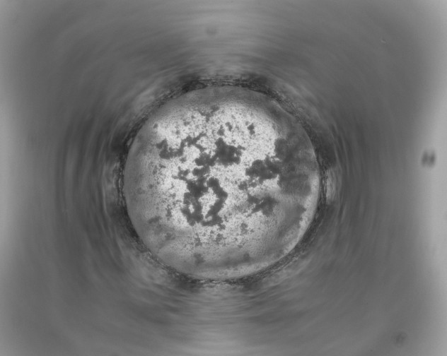 X0000091551059200709141511